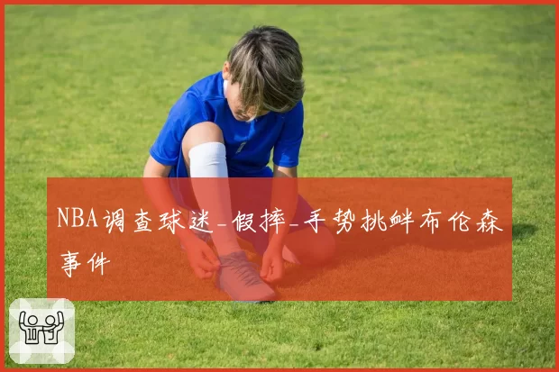 NBA调查球迷_假摔_手势挑衅布伦森事件