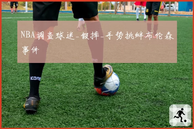 NBA调查球迷_假摔_手势挑衅布伦森事件