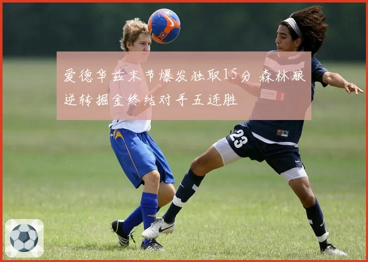 爱德华兹末节爆发独取15分 森林狼逆转掘金终结对手五连胜